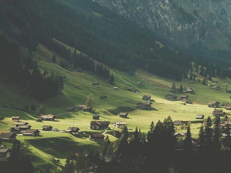 The Valley